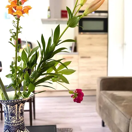 Διαμέρισμα 3 Sk With Roof Terracespoorparkeftelinguvt Τίλμπουργκ