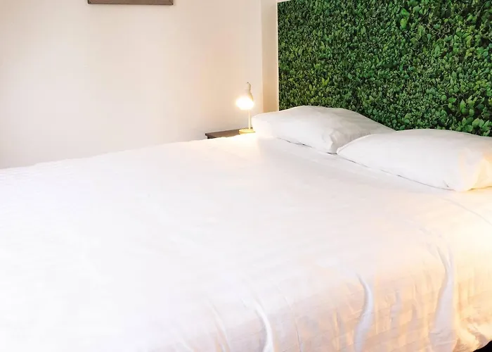 Apartman 3 Sk With Roof Terracespoorparkeftelinguvt Tilburg