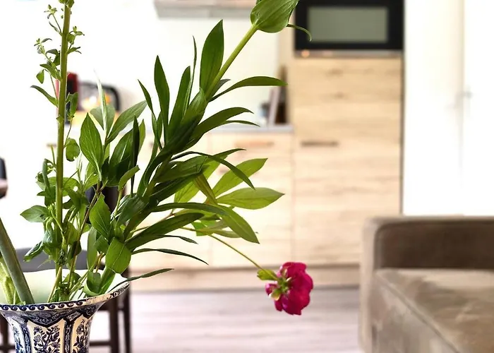 Apartman 3 Sk With Roof Terracespoorparkeftelinguvt Tilburg